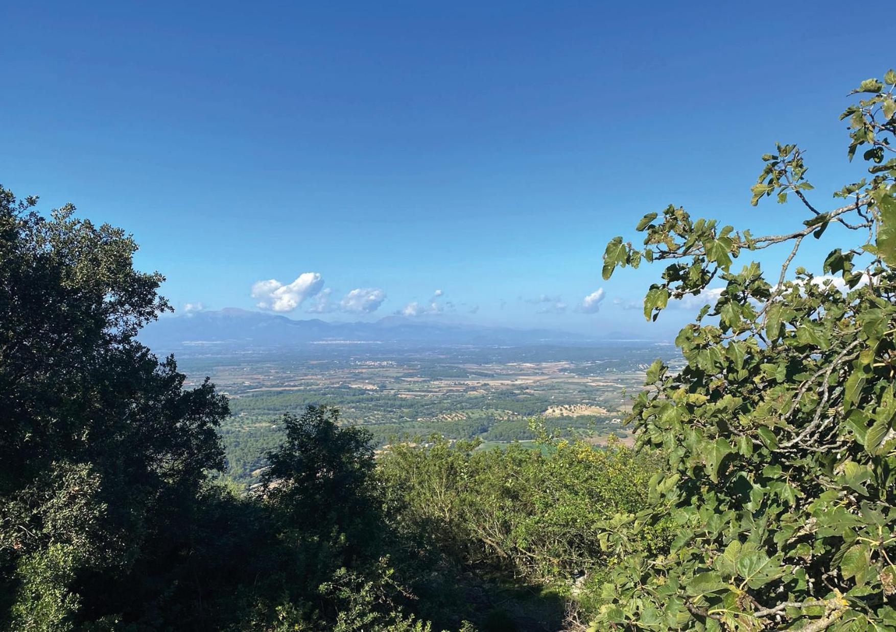 Animas Llucmajor (Mallorca)
