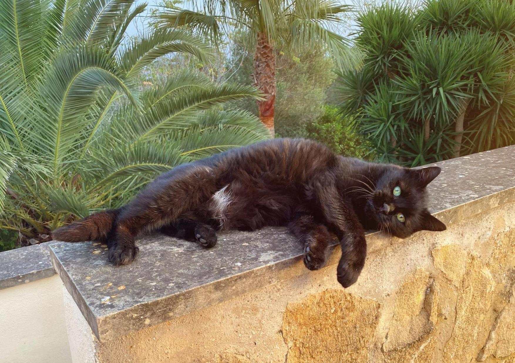 Hébergement de vacances Animas